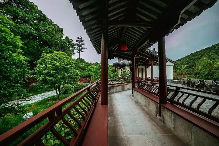 竞技宝one
